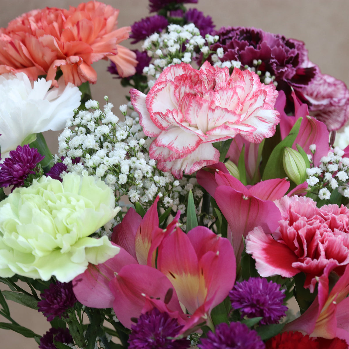 Pink Carnations